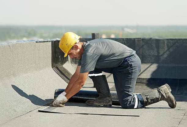 Best Geographic-Specific Insulation Services in Phillipsburg, NJ